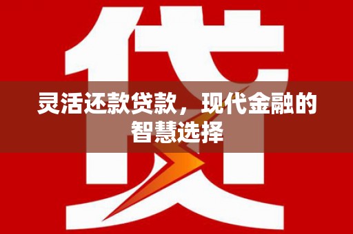 林甸灵活还款贷款，现代金融的智慧选择