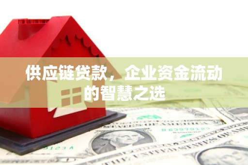 林甸供应链贷款，企业资金流动的智慧之选
