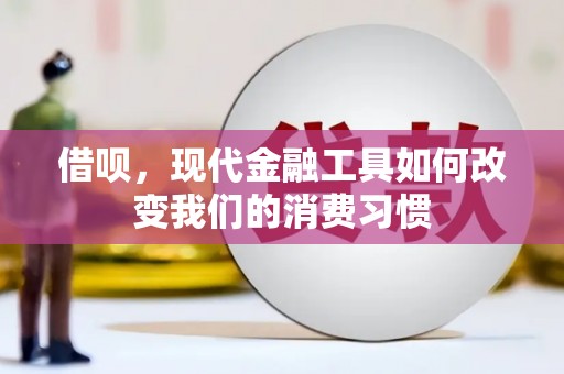 林甸借呗，现代金融工具如何改变我们的消费习惯
