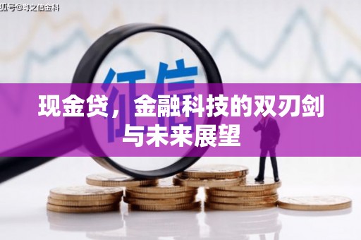 林甸现金贷，金融科技的双刃剑与未来展望