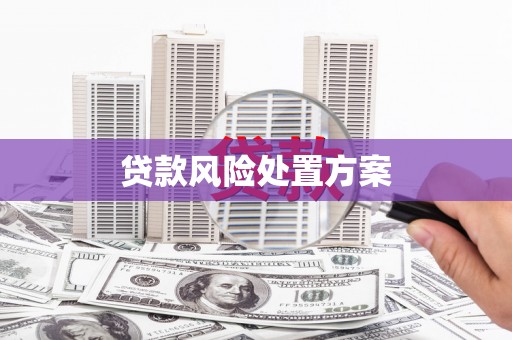 林甸贷款风险处置方案