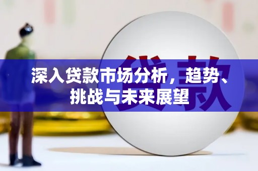 林甸深入贷款市场分析，趋势、挑战与未来展望