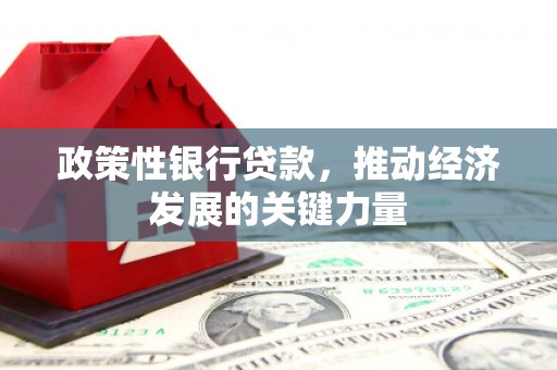 林甸政策性银行贷款，推动经济发展的关键力量