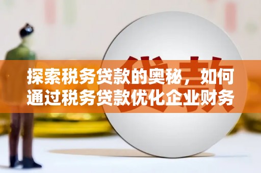 林甸探索税务贷款的奥秘，如何通过税务贷款优化企业财务