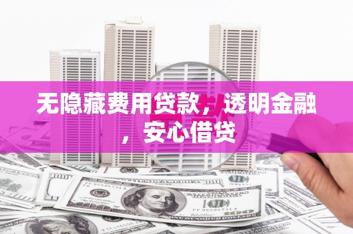 林甸无隐藏费用贷款，透明金融，安心借贷
