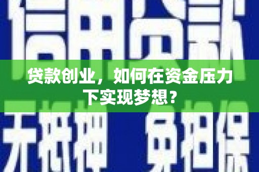 林甸贷款创业，如何在资金压力下实现梦想？