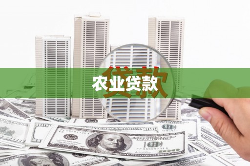 林甸农业贷款