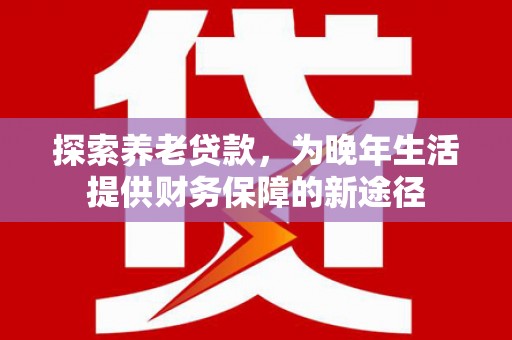 林甸探索养老贷款，为晚年生活提供财务保障的新途径