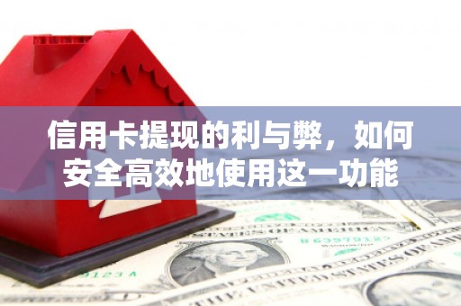 林甸信用卡提现的利与弊，如何安全高效地使用这一功能