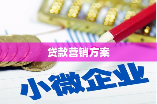 林甸贷款营销方案