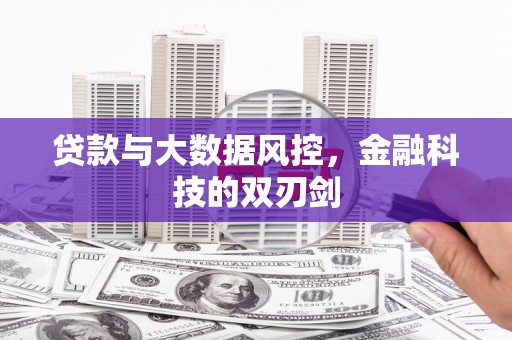 林甸贷款与大数据风控，金融科技的双刃剑