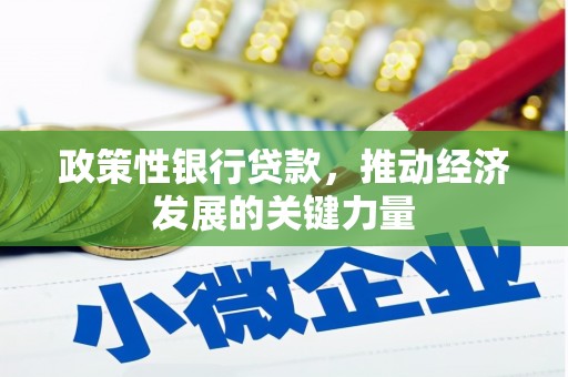 林甸政策性银行贷款，推动经济发展的关键力量