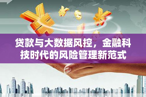 林甸贷款与大数据风控，金融科技时代的风险管理新范式