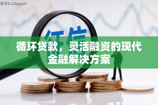 林甸循环贷款，灵活融资的现代金融解决方案