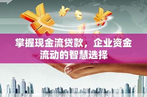 林甸掌握现金流贷款，企业资金流动的智慧选择