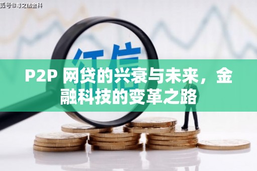 林甸P2P 网贷的兴衰与未来，金融科技的变革之路