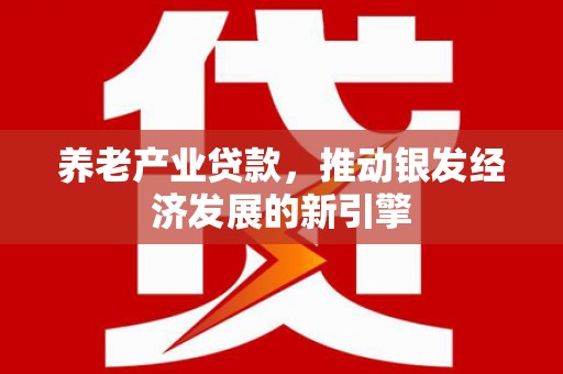 林甸养老产业贷款，推动银发经济发展的新引擎