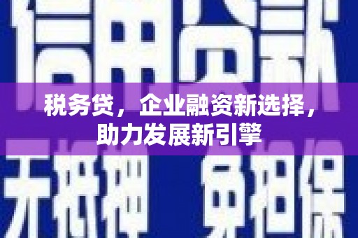 林甸税务贷，企业融资新选择，助力发展新引擎