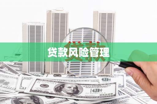 林甸贷款风险管理