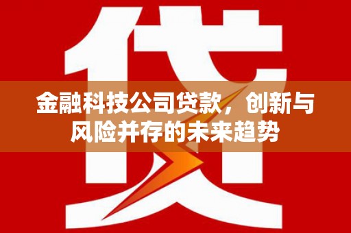 林甸金融科技公司贷款，创新与风险并存的未来趋势