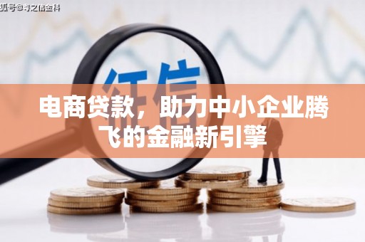 林甸电商贷款，助力中小企业腾飞的金融新引擎