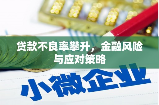 林甸贷款不良率攀升，金融风险与应对策略