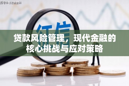 林甸贷款风险管理，现代金融的核心挑战与应对策略