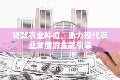 林甸贷款农业种植，助力现代农业发展的金融引擎