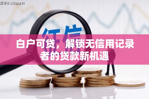 林甸白户可贷，解锁无信用记录者的贷款新机遇