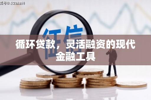 林甸循环贷款，灵活融资的现代金融工具