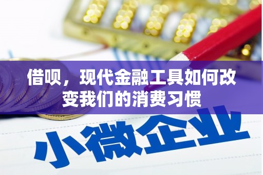 林甸借呗，现代金融工具如何改变我们的消费习惯