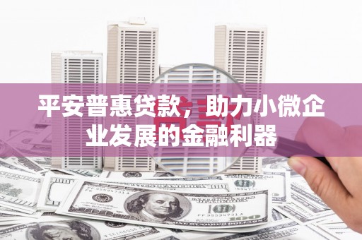 林甸平安普惠贷款，助力小微企业发展的金融利器