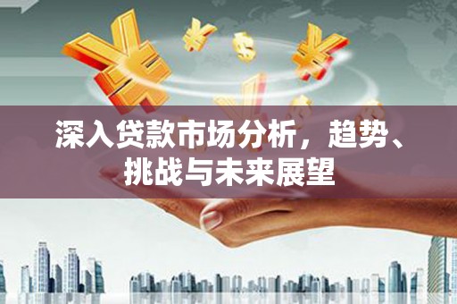 林甸深入贷款市场分析，趋势、挑战与未来展望