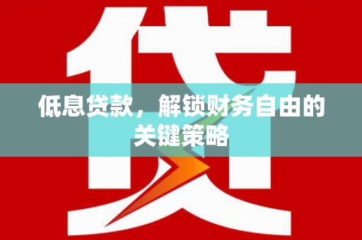 林甸低息贷款，解锁财务自由的关键策略