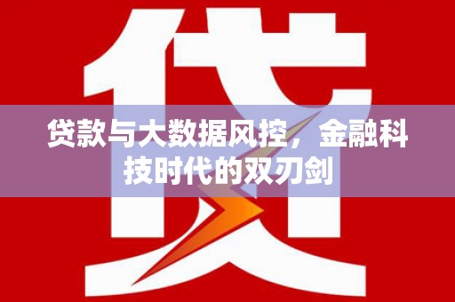 林甸贷款与大数据风控，金融科技时代的双刃剑