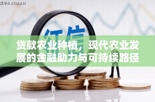 林甸贷款农业种植，现代农业发展的金融助力与可持续路径