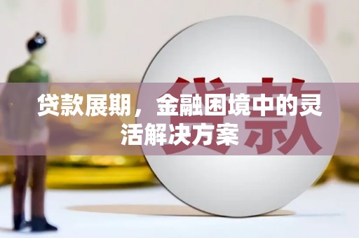 林甸贷款展期，金融困境中的灵活解决方案