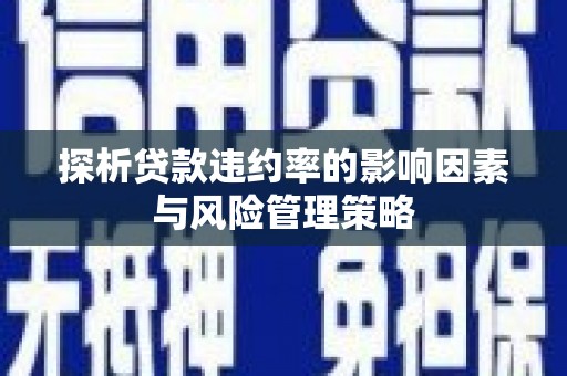 林甸探析贷款违约率的影响因素与风险管理策略