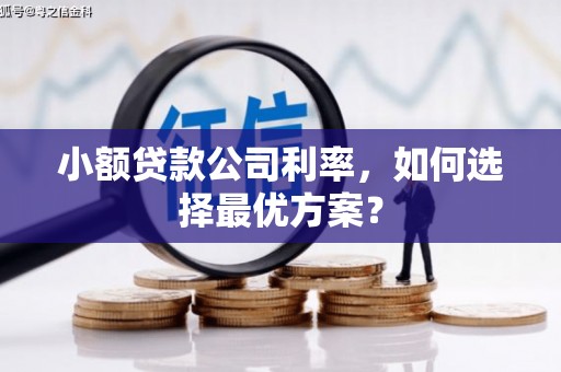 林甸小额贷款公司利率，如何选择最优方案？