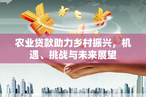 林甸农业贷款助力乡村振兴，机遇、挑战与未来展望