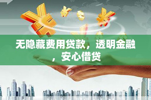 林甸无隐藏费用贷款，透明金融，安心借贷