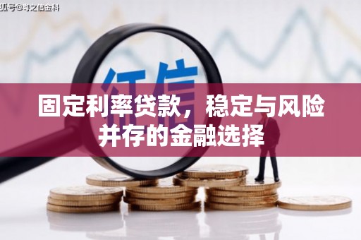 林甸固定利率贷款，稳定与风险并存的金融选择