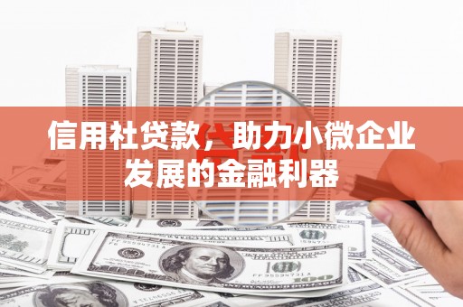林甸信用社贷款，助力小微企业发展的金融利器