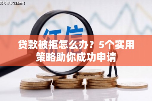 林甸贷款被拒怎么办？5个实用策略助你成功申请