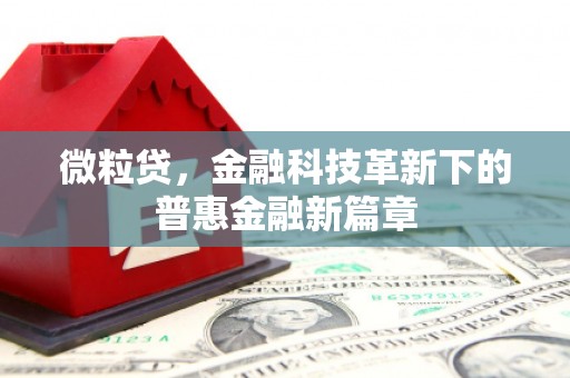 林甸微粒贷，金融科技革新下的普惠金融新篇章