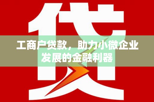 林甸工商户贷款，助力小微企业发展的金融利器