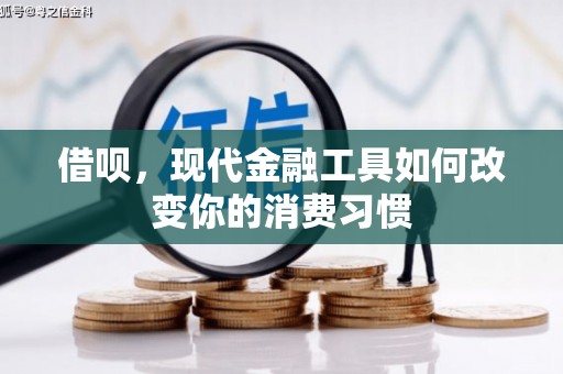 林甸借呗，现代金融工具如何改变你的消费习惯
