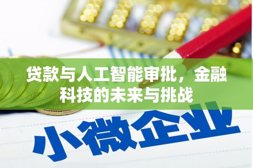 林甸贷款与人工智能审批，金融科技的未来与挑战