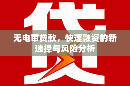 林甸无电审贷款，快速融资的新选择与风险分析