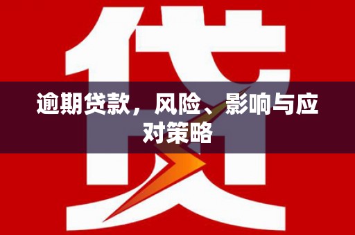 林甸逾期贷款，风险、影响与应对策略